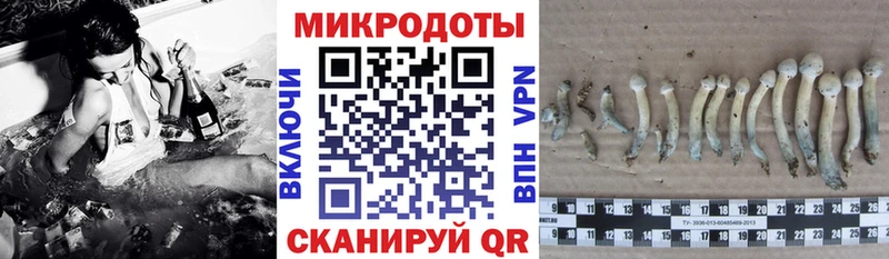 Псилоцибиновые грибы мухоморы кракен зеркало Верещагино
